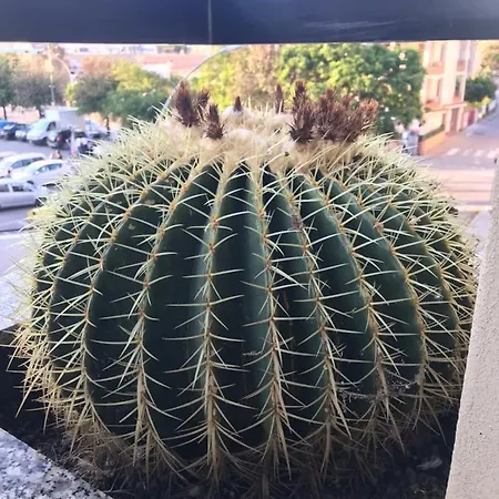 Appartement Dolce Sogno 2 *