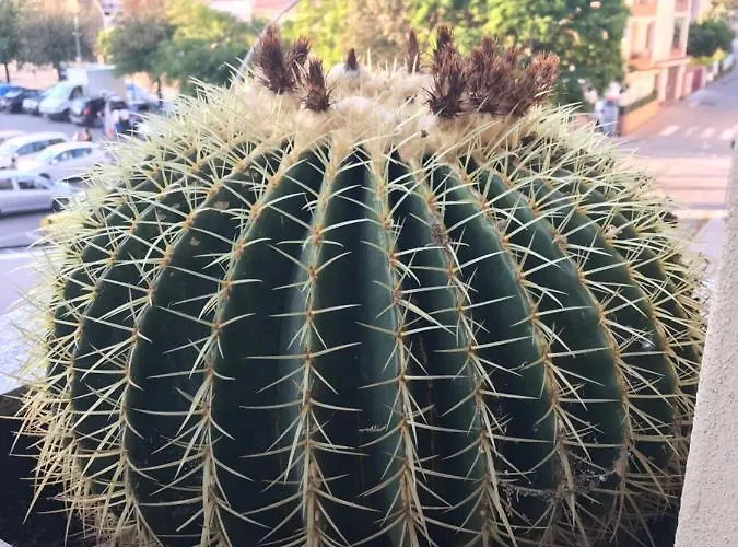 Appartamento Dolce Sogno 2 *